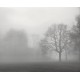 Mist - mgła